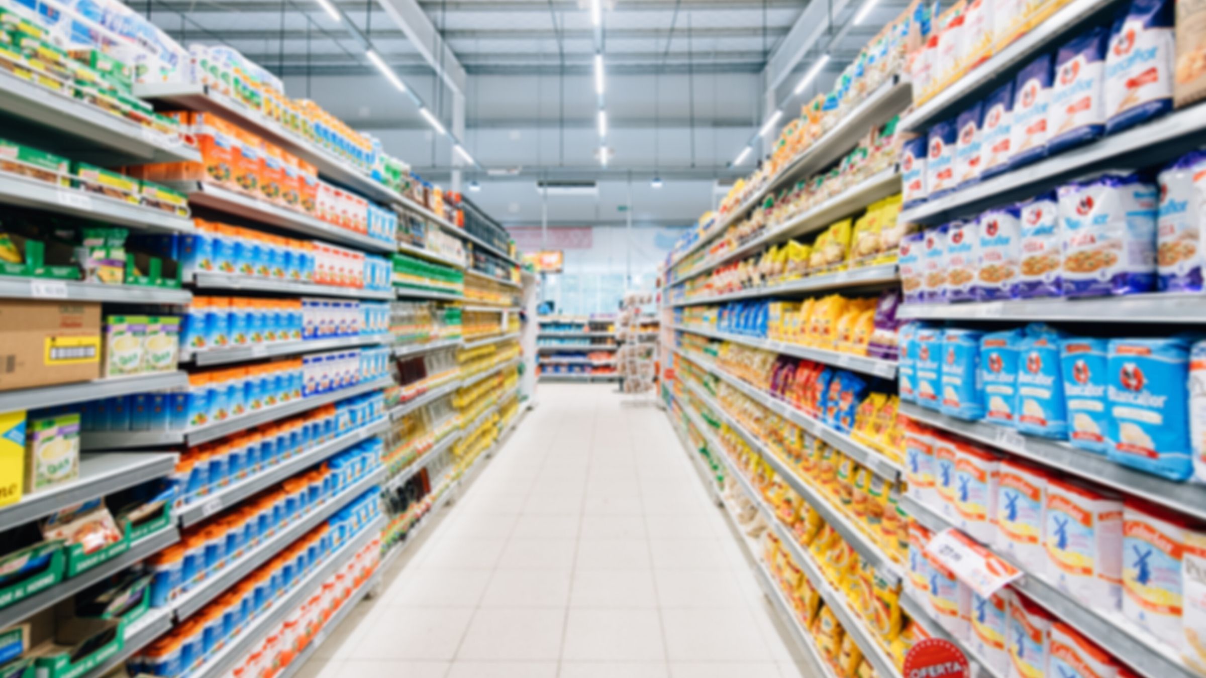 Import export food business online